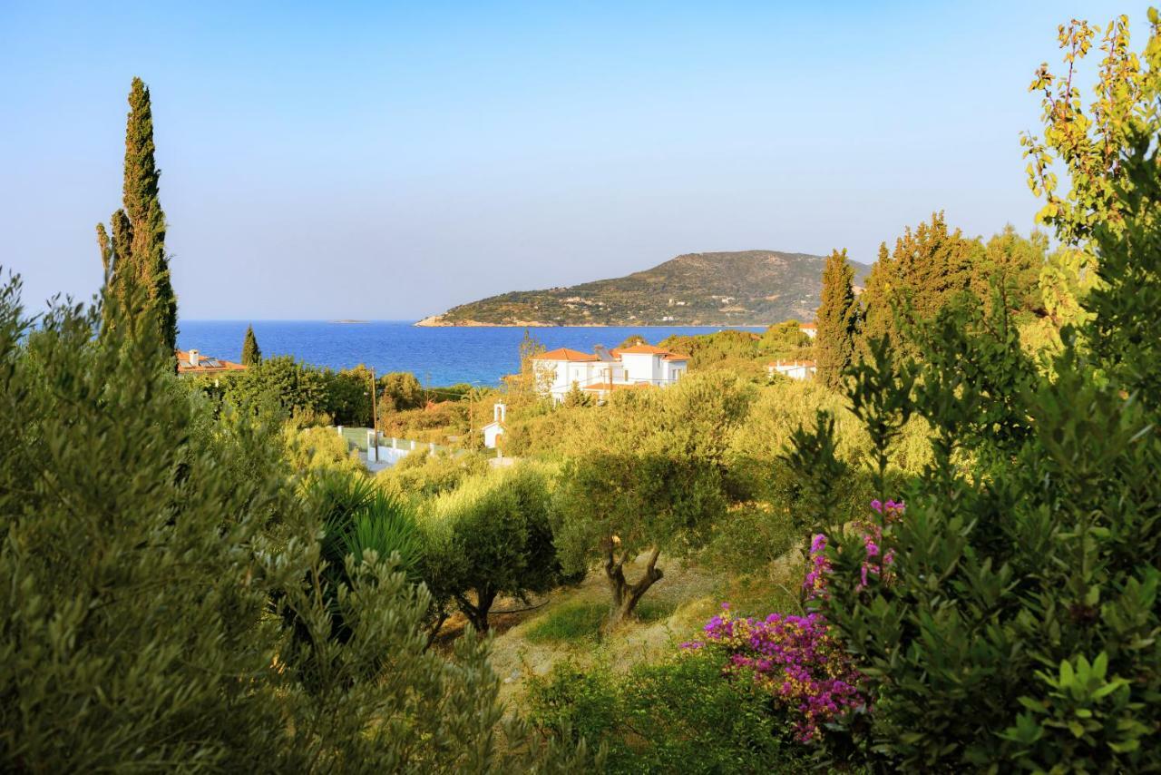 Kedros Hotel Samos Island Exterior foto